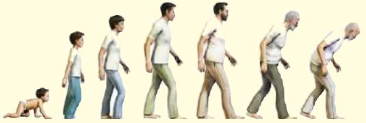 شكل السؤال 6